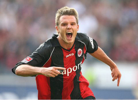 这一决定仿 这一决定仿